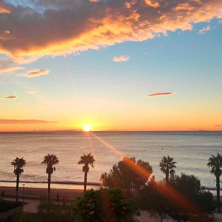 Sunrise Estudio Zebra, Con Vistas Jardin Y Mar 미아미플라자 외부 사진