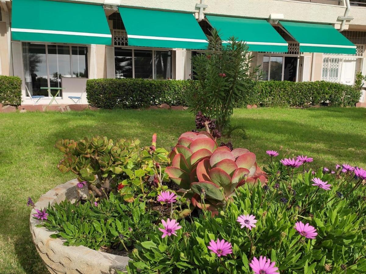 Sunrise Estudio Zebra, Con Vistas Jardin Y Mar 미아미플라자 외부 사진